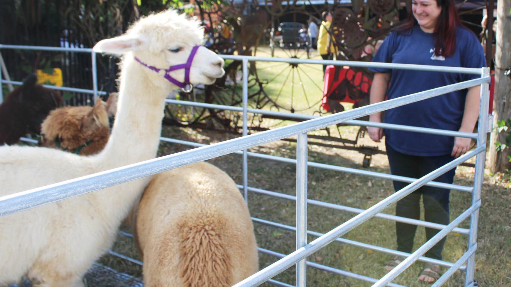 Museum Pioneer Days shows youngsters how life used to be